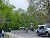 Scenes of Central Park