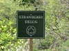 Sign for Strawberry Fields