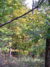 Early Autumn/Fall scenes of the Lamont-Doherty Nature Sanctuary