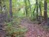 Early Autumn/Fall scenes of the Lamont-Doherty Nature Sanctuary