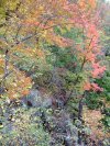 Early Autumn/Fall scenes of the Lamont-Doherty Nature Sanctuary