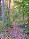 Early Autumn/Fall scenes of the Lamont-Doherty Nature Sanctuary