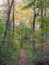 Early Autumn/Fall scenes of the Lamont-Doherty Nature Sanctuary
