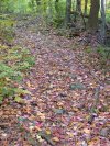 Early Autumn/Fall scenes of the Lamont-Doherty Nature Sanctuary