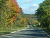 Autumn/Fall New York parkway road scenes