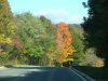 Autumn/Fall New York parkway road scenes