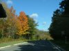 Autumn/Fall New York parkway road scenes