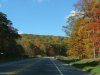 Autumn/Fall New York parkway road scenes