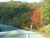 Autumn/Fall New York parkway road scenes