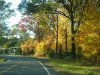 Autumn/Fall roadside scenes back to Catskill