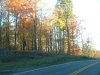 Autumn/Fall roadside scenes back to Catskill