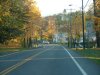 Autumn/Fall roadside scenes back to Catskill