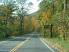 Autumn/Fall Catskill Park roadside scenes
