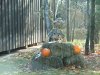 Autumn/Fall Catskill Park Halloween scenes