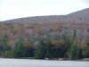 Leafy and fallen trees viewed from North South public Campground