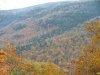 Autumn/Fall Kaaterskill roadside scenes