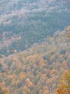 Autumn/Fall Kaaterskill roadside scenes