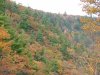 Autumn/Fall Kaaterskill roadside scenes